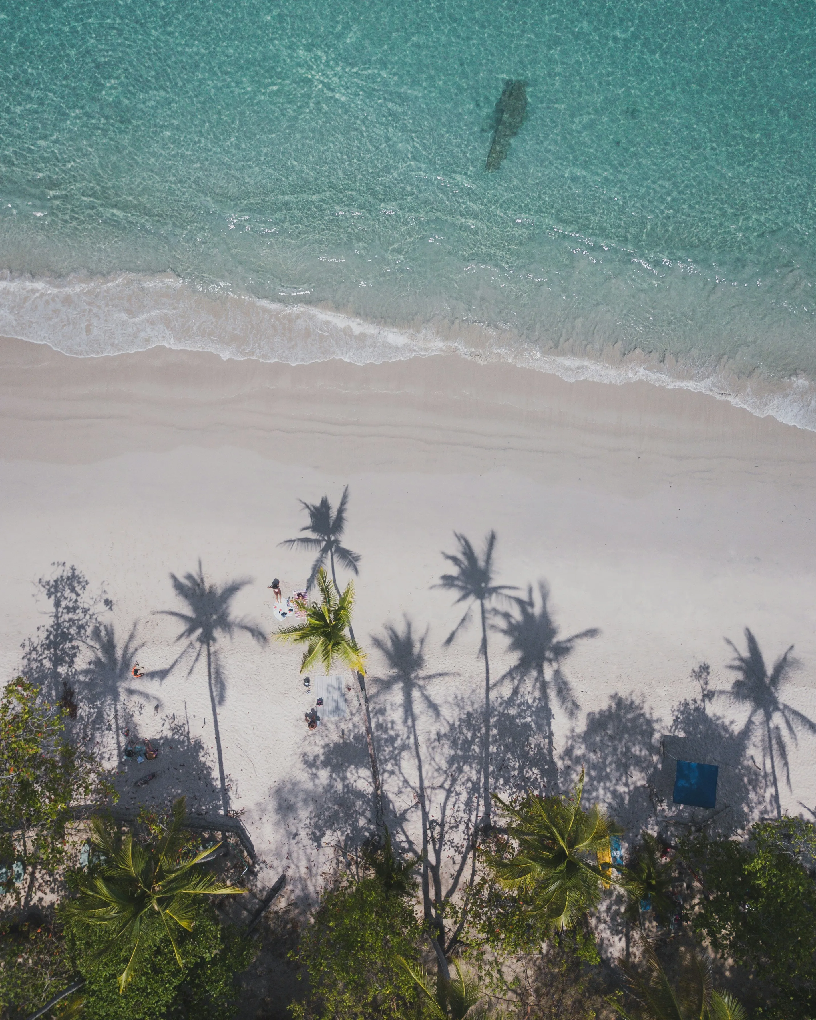 Beach background